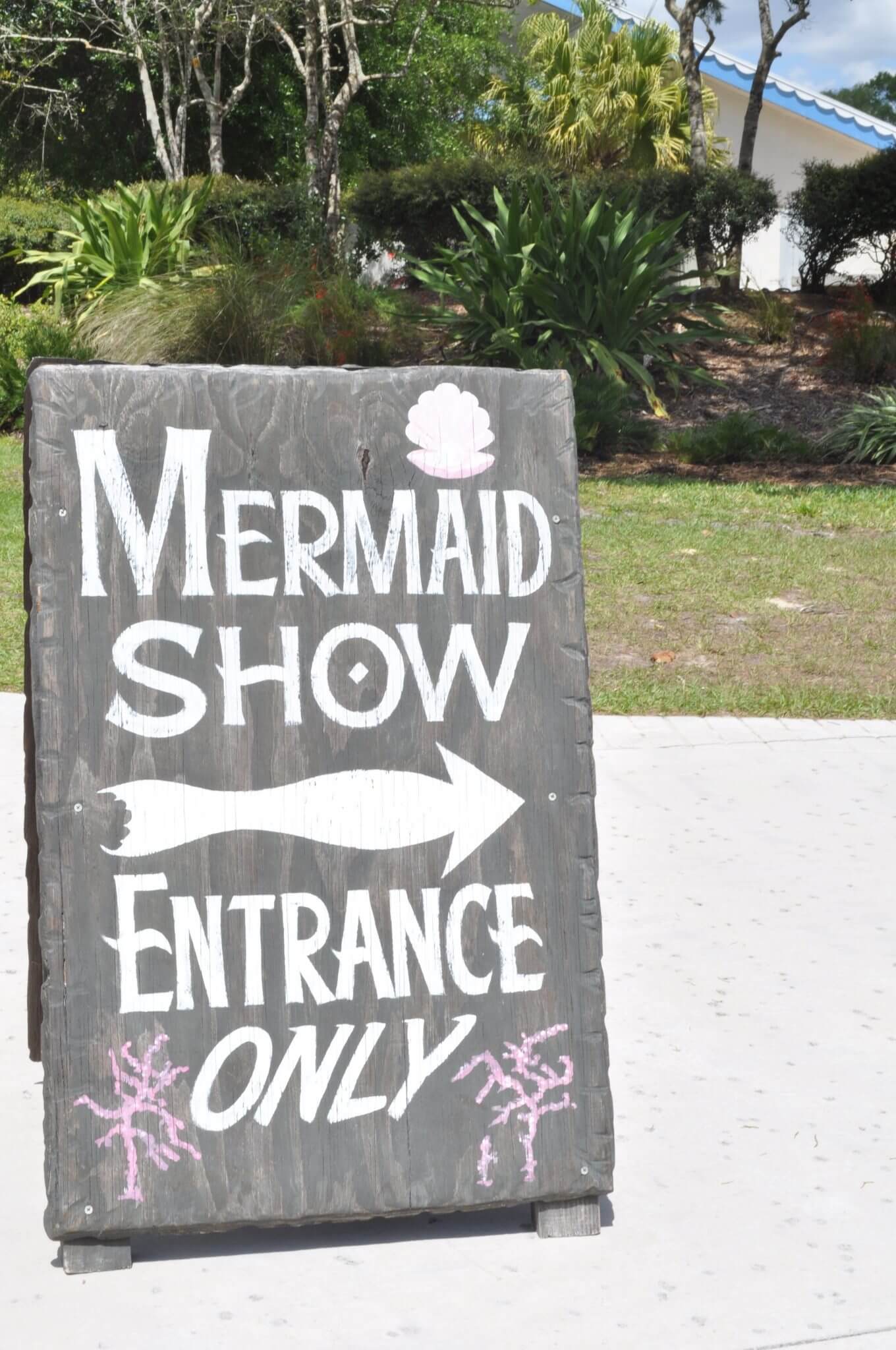 What to do in Tampa with Kids? Go to a mermaid show...and much more. www.huntingforrubies.com