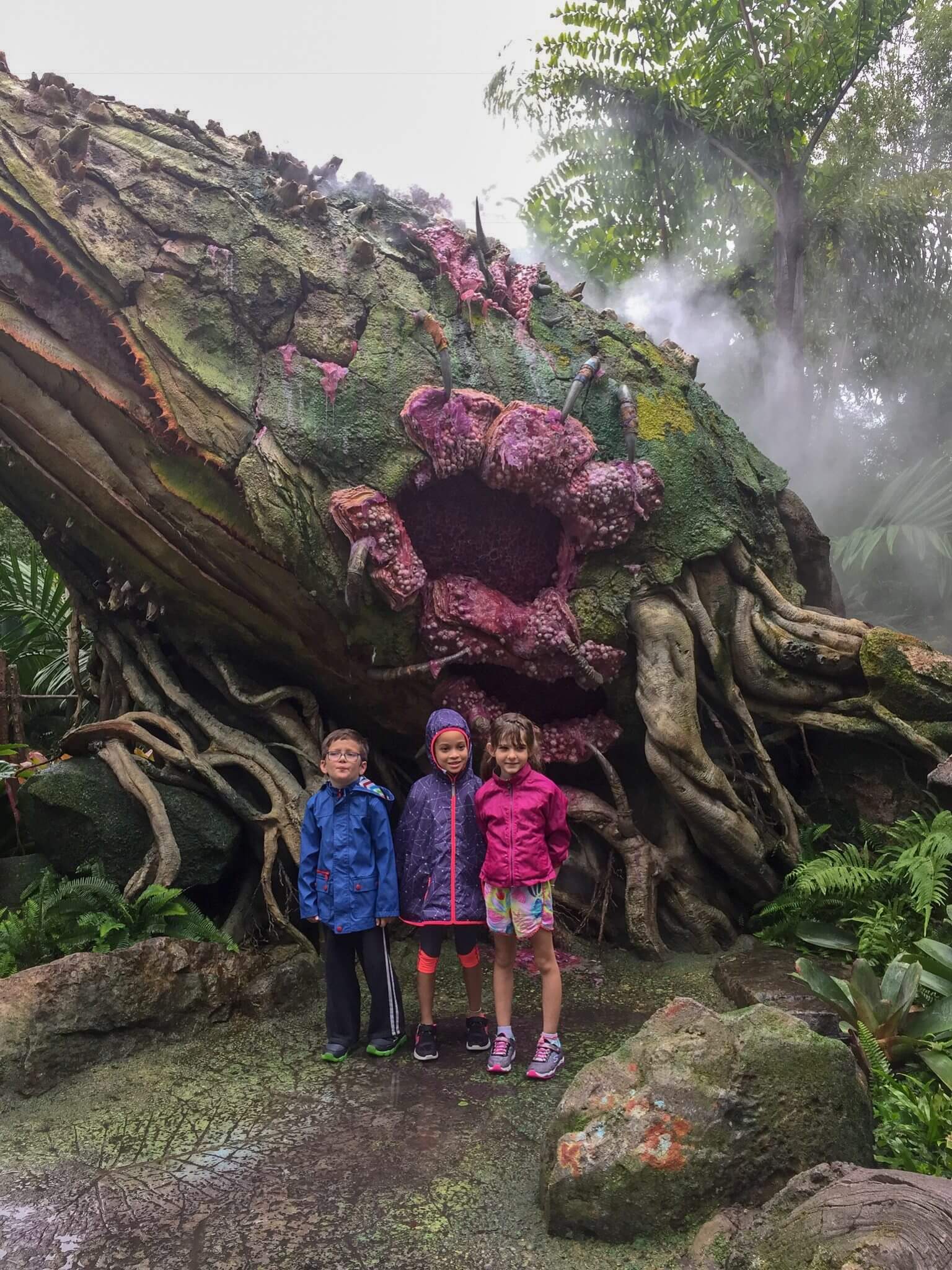 Traveling with Extended Family to Pandora. Tips for keeping the Peace while on vacation to Disney. www.HuntingforRubies.com