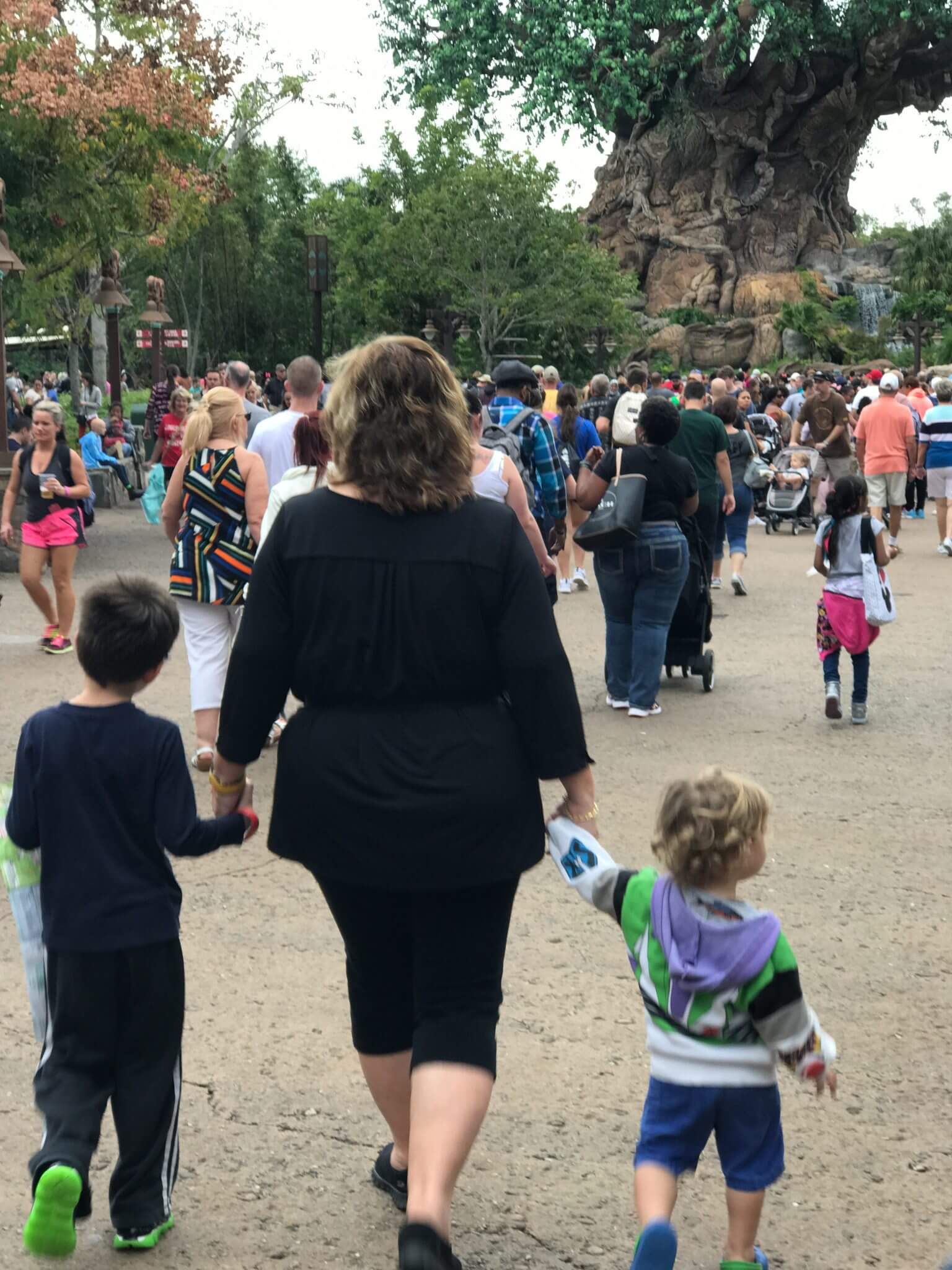 Traveling with Extended Family to Animal Kingdom. Tips for keeping the Peace while on vacation to Disney. www.HuntingforRubies.com